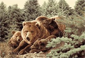 Овальный ковер Фауна 50633 Медведь