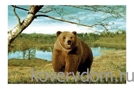 Ковер Ландшафт 50381 01 